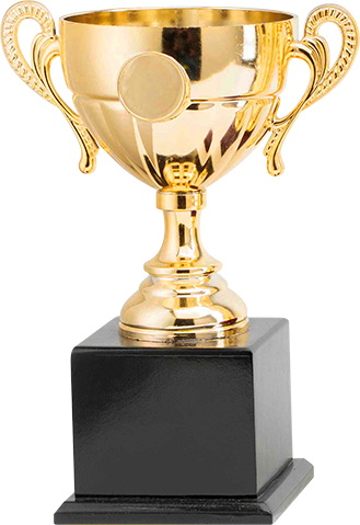 p3-img-trophy a
